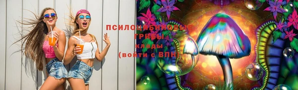 эйфоретик Арсеньев