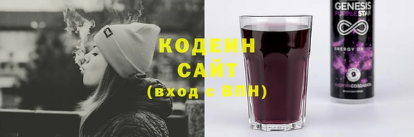 эйфоретик Арсеньев