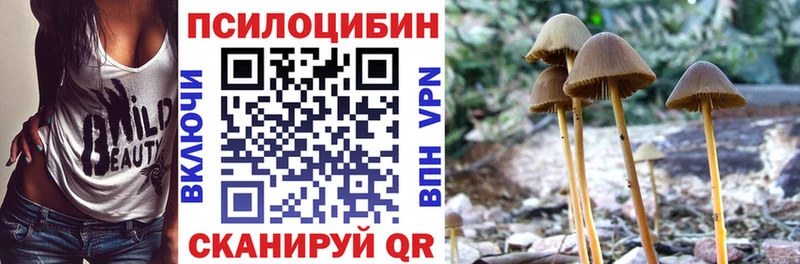 Псилоцибиновые грибы Cubensis наркота Гуково